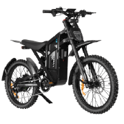 Sample E-Bike